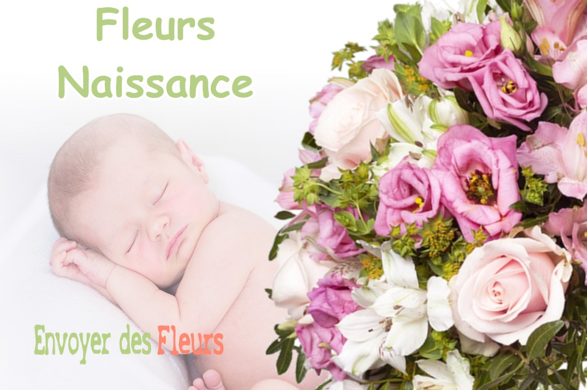 lIVRAISON FLEURS NAISSANCE à GAILLERES